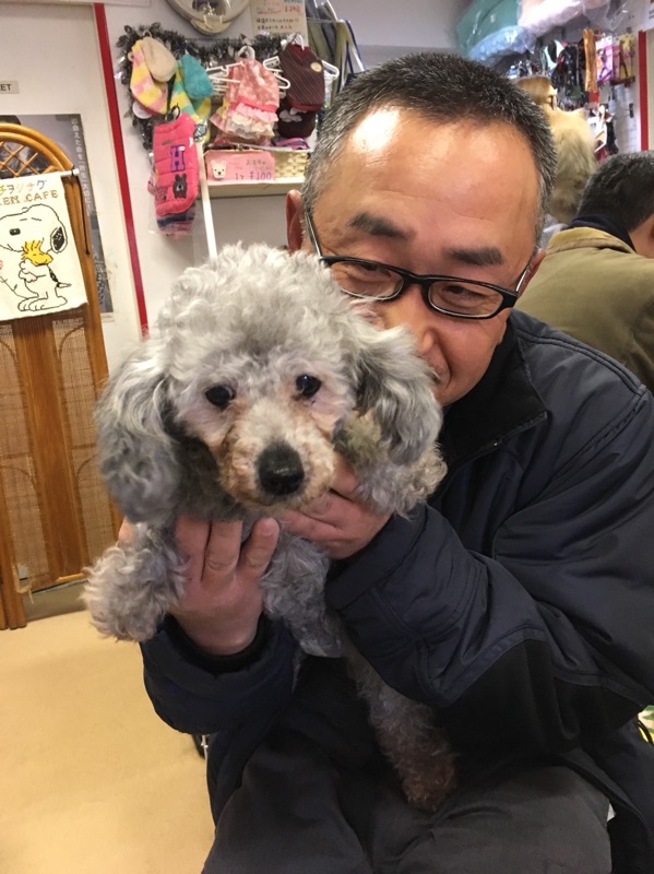 【今日の卒業ワンコ🐶ヨーキーのサミュエル君💕、トイプードルのハルミちゃん💕】